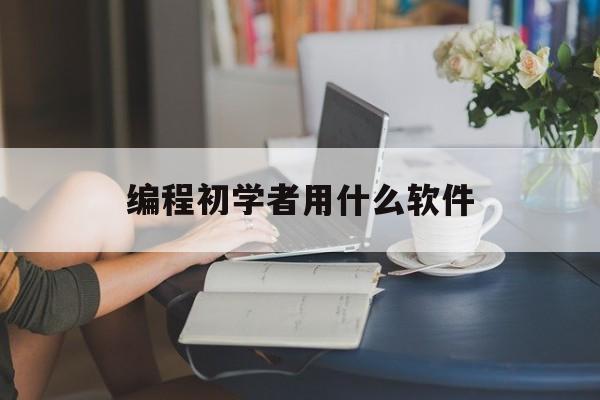 编程初学者用什么软件（初学程序员用什么编程软件）