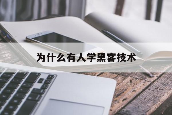 为什么有人学黑客技术（学黑客技术有什么用）