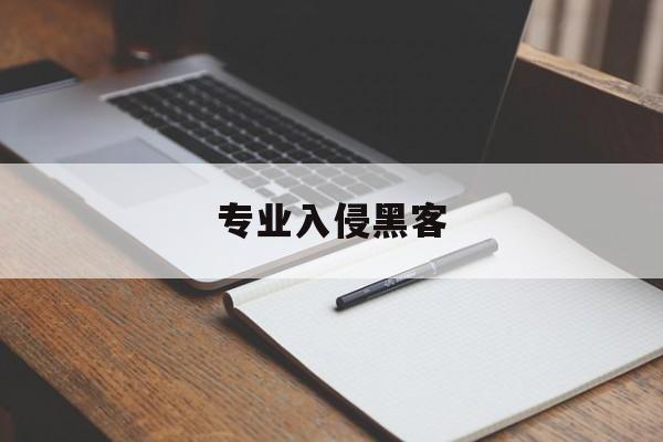 专业入侵黑客（黑客攻击事件）