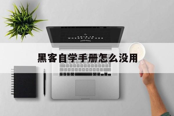 黑客自学手册怎么没用（黑客自学手册简体中文）