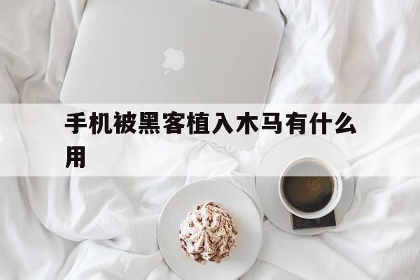手机被黑客植入木马有什么用（什么情况下手机会被植入木马）