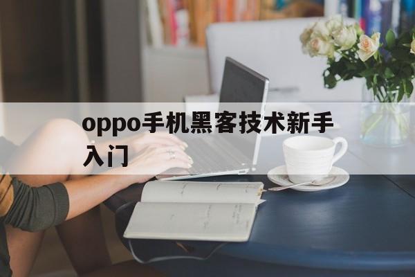 oppo手机黑客技术新手入门（如何成为手机黑客 基础入门）