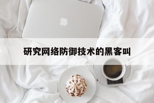 研究网络防御技术的黑客叫（黑客攻击技术）