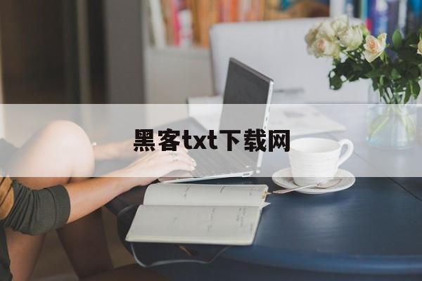 黑客txt下载网（黑客txt免费下载）