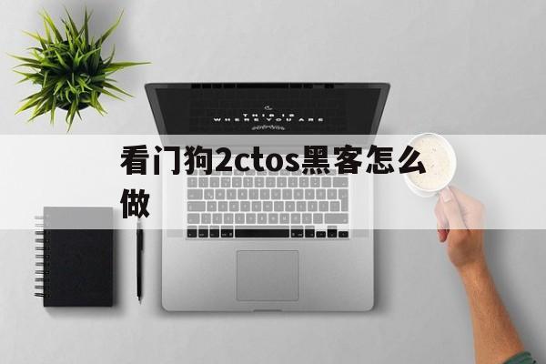 看门狗2ctos黑客怎么做（看门狗2的黑客技术）