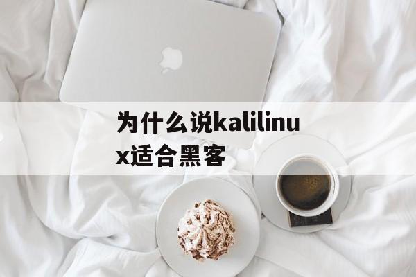 为什么说kalilinux适合黑客（Kali linux渗透黑客手册）