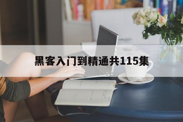 黑客入门到精通共115集的简单介绍