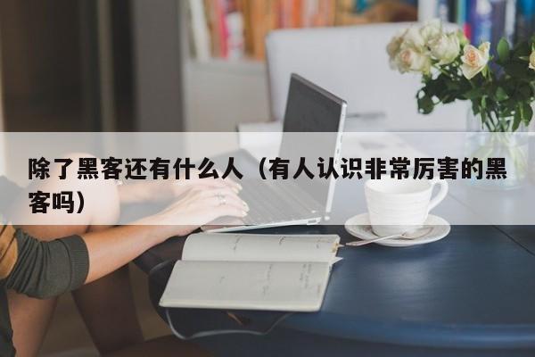 除了黑客还有什么人（有人认识非常厉害的黑客吗）