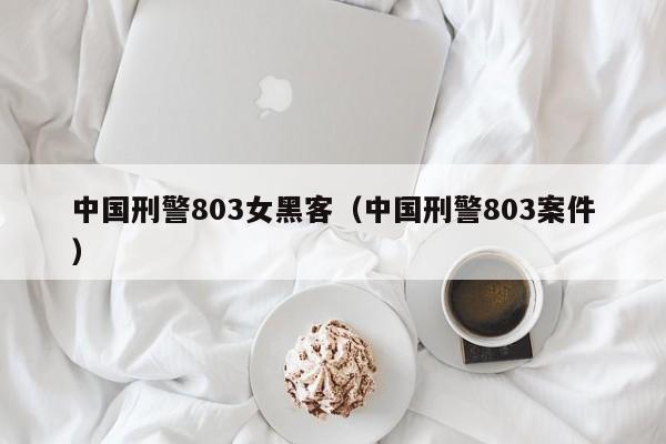 中国刑警803女黑客（中国刑警803案件）