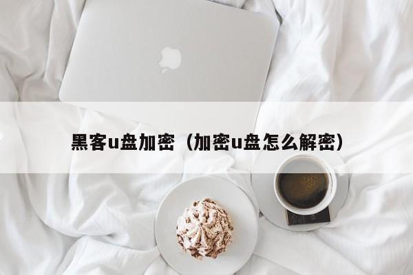 黑客u盘加密（加密u盘怎么解密）