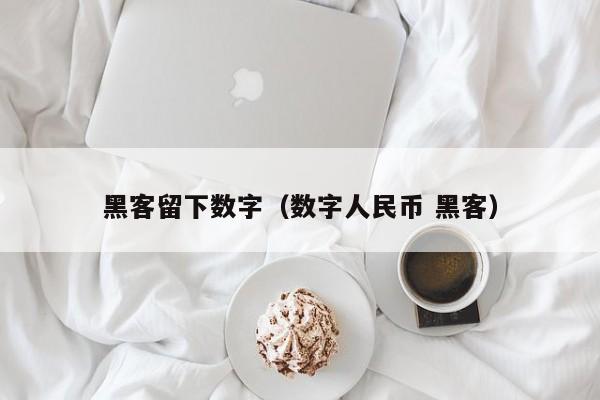 黑客留下数字（数字人民币 黑客）
