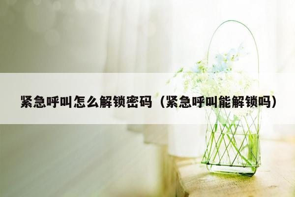 紧急呼叫怎么解锁密码（紧急呼叫能解锁吗）