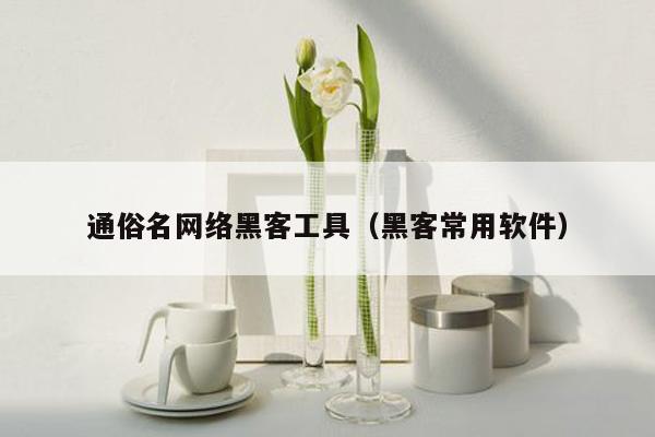 通俗名网络黑客工具（黑客常用软件）