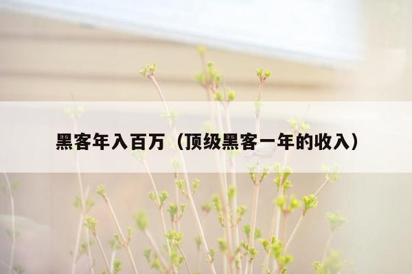 黑客年入百万（顶级黑客一年的收入）