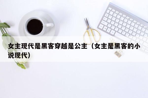 女主现代是黑客穿越是公主（女主是黑客的小说现代）