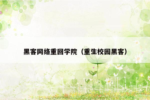 黑客网络重回学院（重生校园黑客）