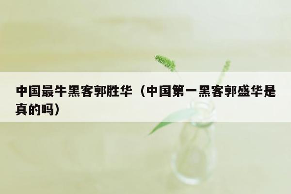 中国最牛黑客郭胜华（中国第一黑客郭盛华是真的吗）