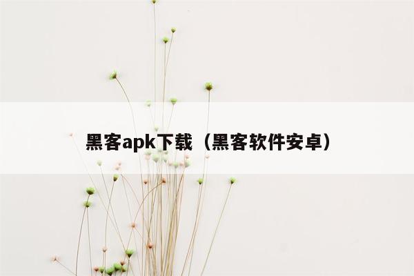 黑客apk下载（黑客软件安卓）