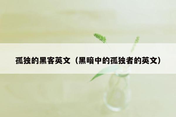 孤独的黑客英文（黑暗中的孤独者的英文）