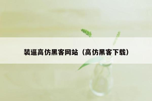 装逼高仿黑客网站（高仿黑客下载）