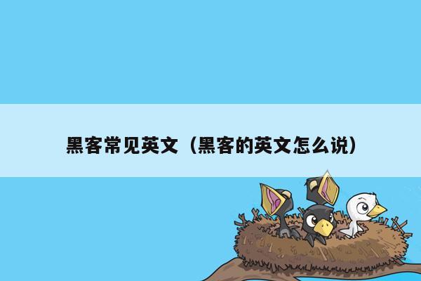 黑客常见英文（黑客的英文怎么说）