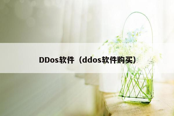 DDos软件（ddos软件购买）