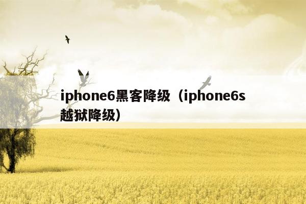 iphone6黑客降级（iphone6s越狱降级）