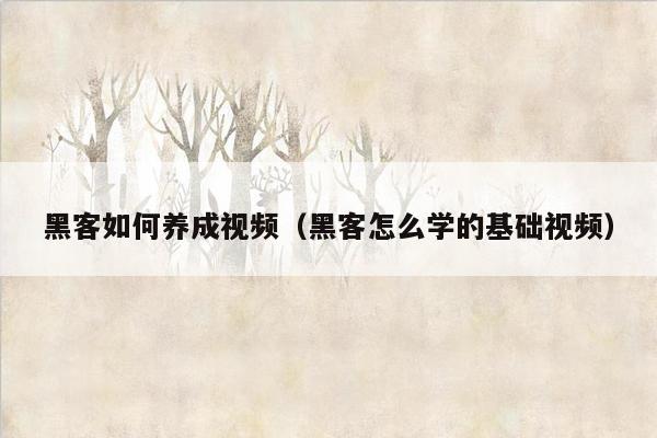 黑客如何养成视频（黑客怎么学的基础视频）