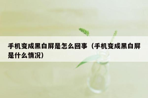 手机变成黑白屏是怎么回事（手机变成黑白屏是什么情况）