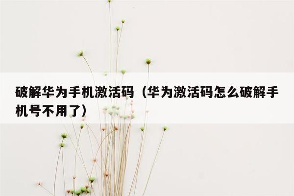 破解华为手机激活码（华为激活码怎么破解手机号不用了）