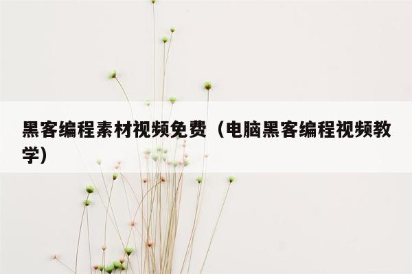 黑客编程素材视频免费（电脑黑客编程视频教学）