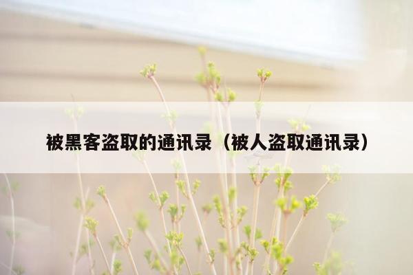 被黑客盗取的通讯录（被人盗取通讯录）