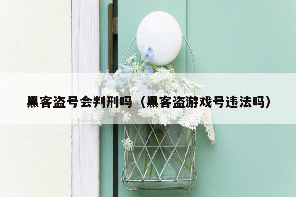 黑客盗号会判刑吗（黑客盗游戏号违法吗）