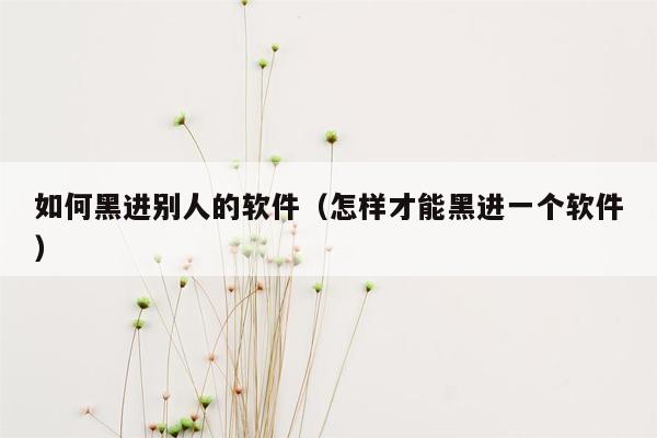 如何黑进别人的软件（怎样才能黑进一个软件）