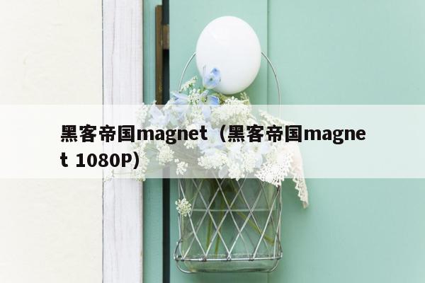 黑客帝国magnet（黑客帝国magnet 1080P）