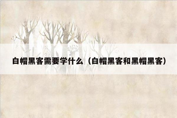 白帽黑客需要学什么（白帽黑客和黑帽黑客）