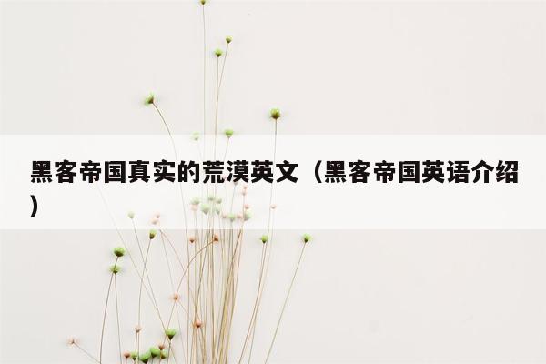 黑客帝国真实的荒漠英文（黑客帝国英语介绍）