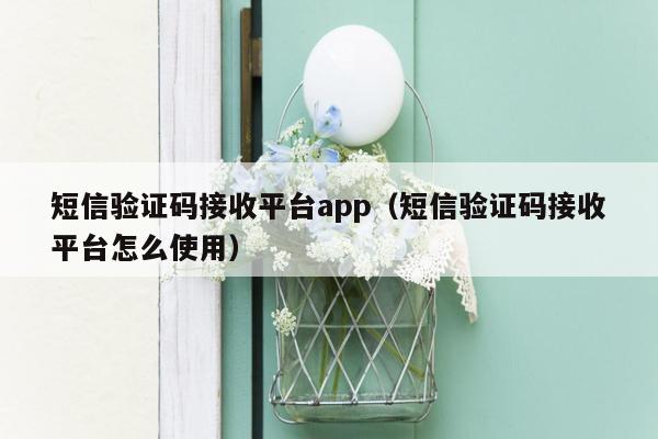 短信验证码接收平台app（短信验证码接收平台怎么使用）