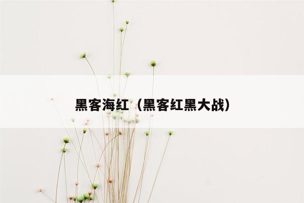 黑客海红（黑客红黑大战）