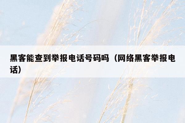 黑客能查到举报电话号码吗（网络黑客举报电话）
