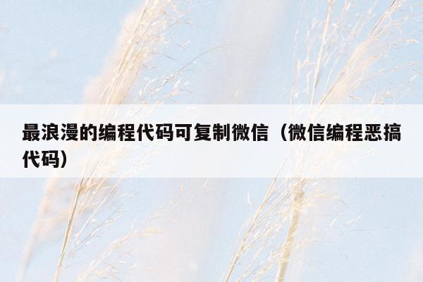 最浪漫的编程代码可复制微信（微信编程恶搞代码）