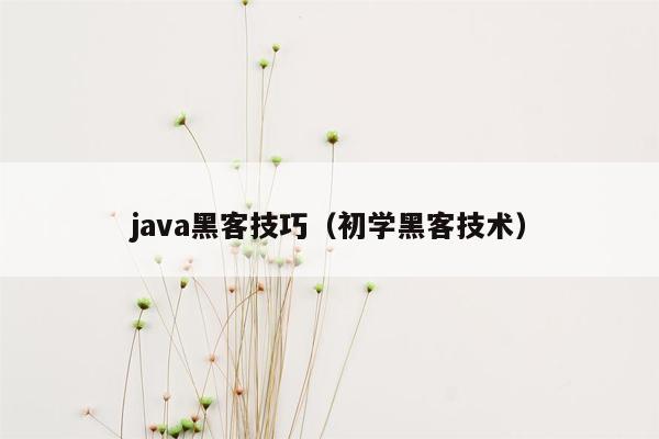 java黑客技巧（初学黑客技术）