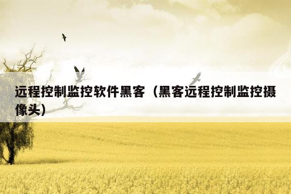远程控制监控软件黑客（黑客远程控制监控摄像头）
