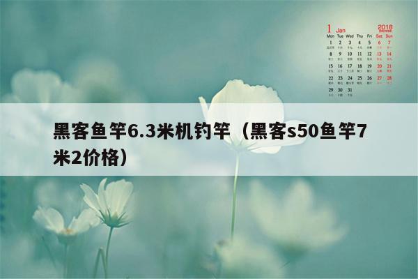 黑客鱼竿6.3米机钓竿（黑客s50鱼竿7米2价格）
