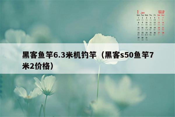 黑客鱼竿6.3米机钓竿（黑客s50鱼竿7米2价格）