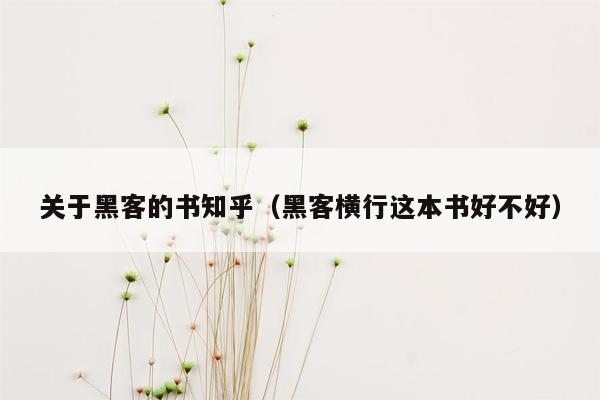 关于黑客的书知乎（黑客横行这本书好不好）