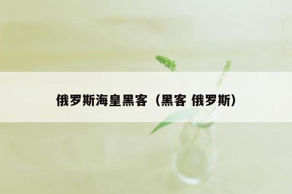 俄罗斯海皇黑客（黑客 俄罗斯）