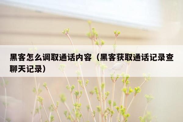 黑客怎么调取通话内容（黑客获取通话记录查聊天记录）