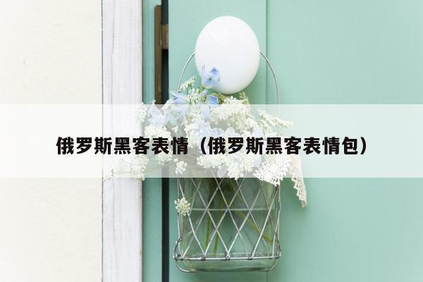 俄罗斯黑客表情（俄罗斯黑客表情包）