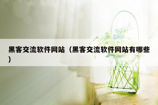 黑客交流软件网站（黑客交流软件网站有哪些）